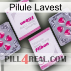 Lavest Pill 33